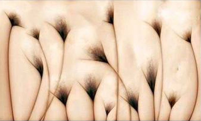【閲覧注意】…じゃなかった画像