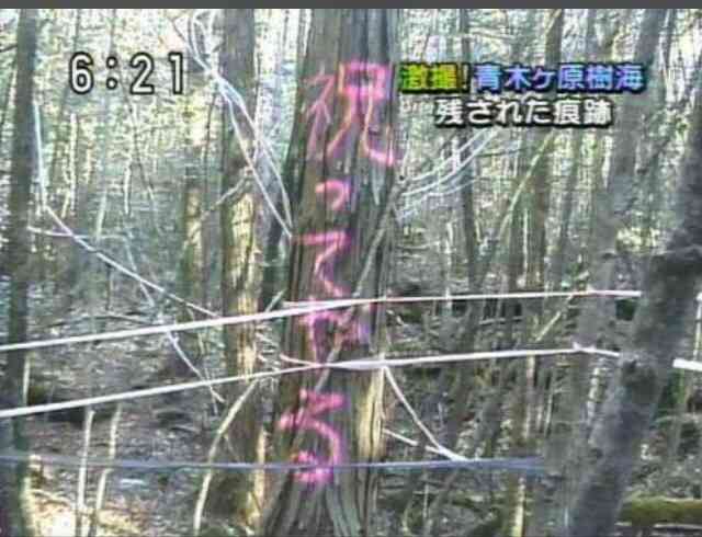 【閲覧注意】…じゃなかった画像