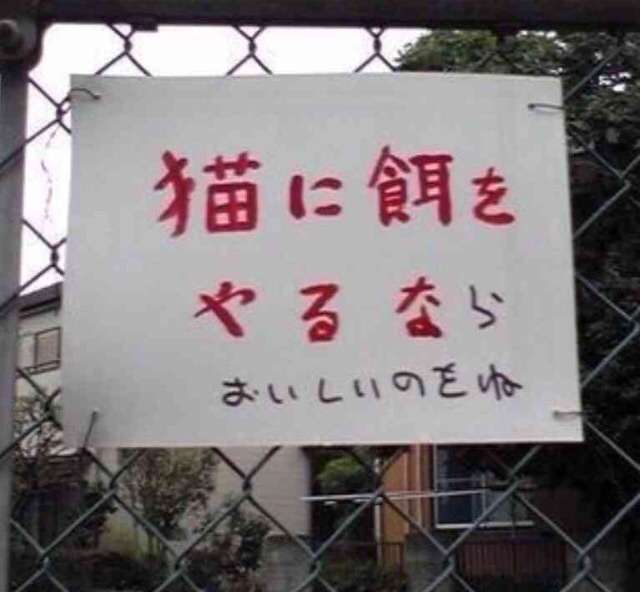 【閲覧注意】…じゃなかった画像