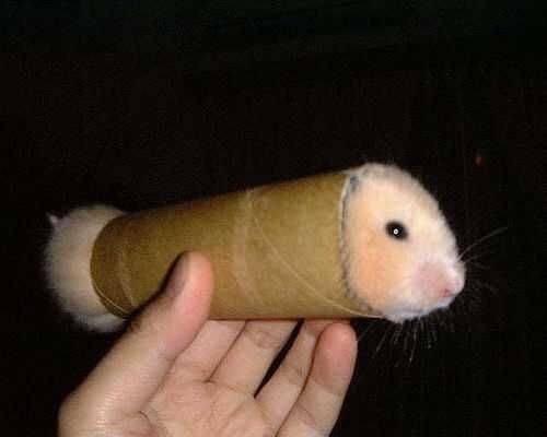 【閲覧注意】…じゃなかった画像