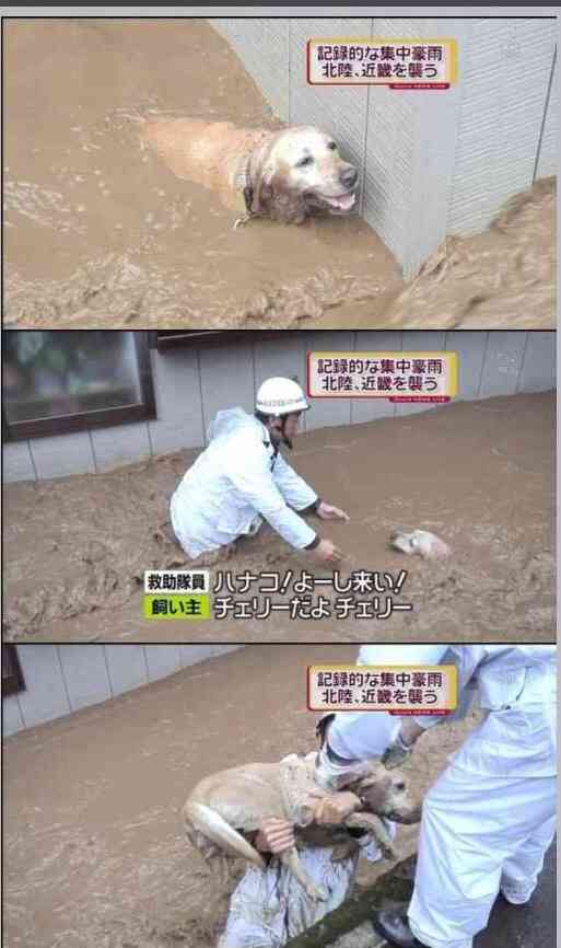 【閲覧注意】…じゃなかった画像