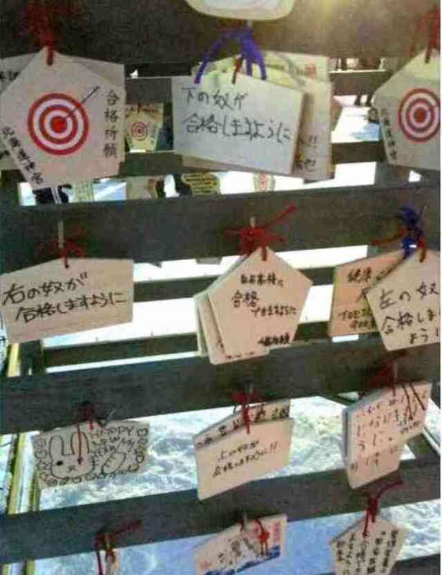【閲覧注意】…じゃなかった画像