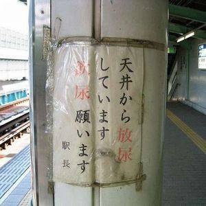 【閲覧注意】…じゃなかった画像