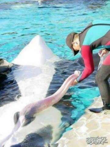 【閲覧注意】…じゃなかった画像