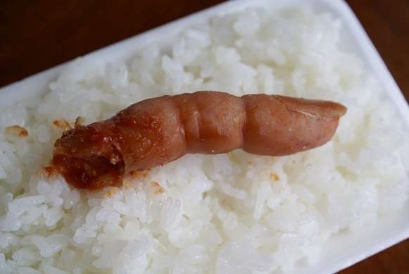 【閲覧注意】…じゃなかった画像