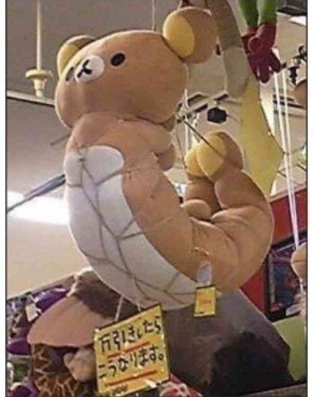 【閲覧注意】…じゃなかった画像