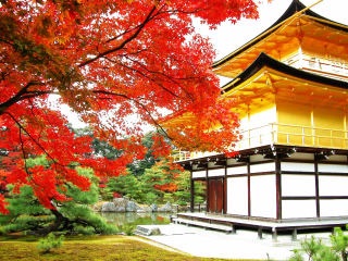 修学旅行はどこに行きましたか？