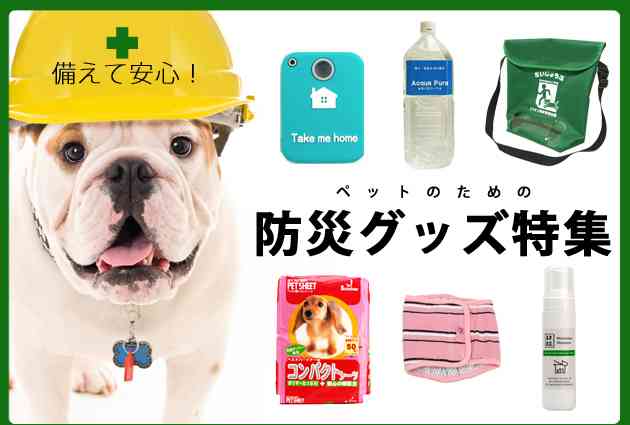 ペットの防災対策