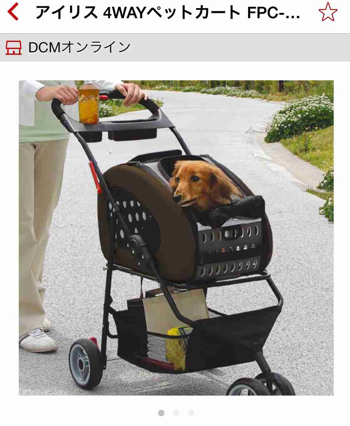 ペットの防災対策