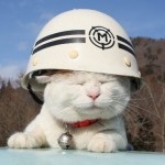 ペットの防災対策