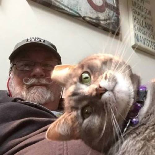 イケメンと猫を貼るトピ