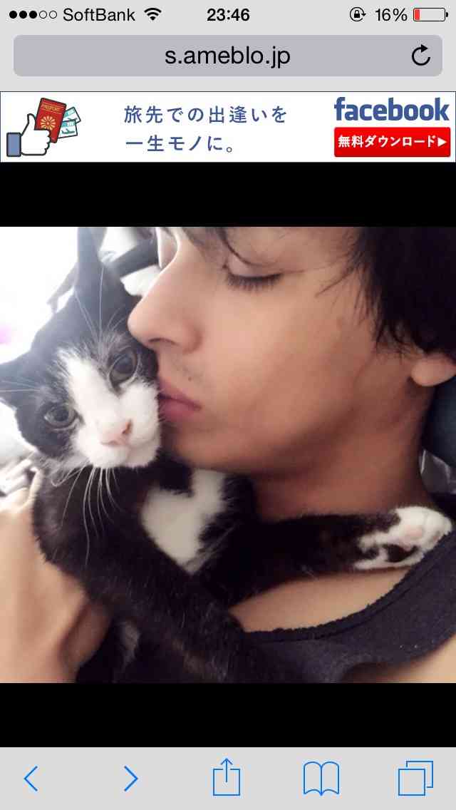 イケメンと猫を貼るトピ