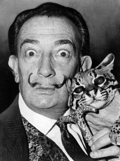 イケメンと猫を貼るトピ