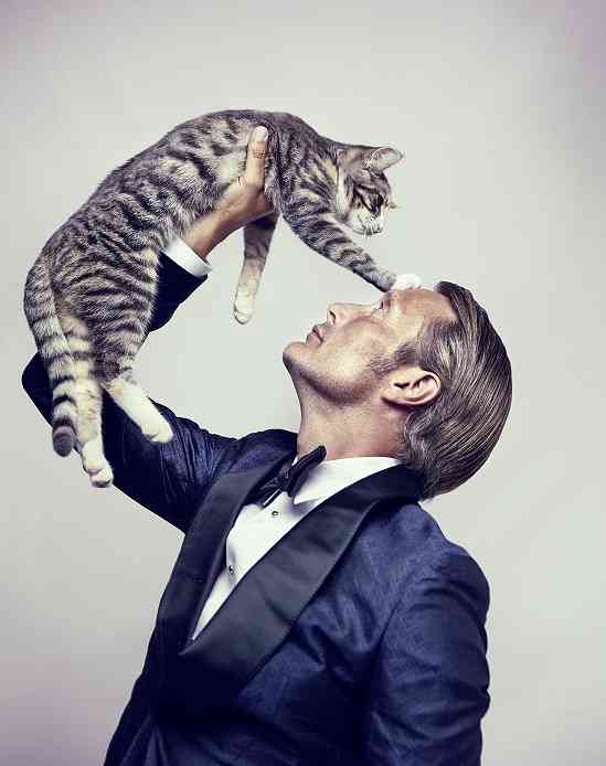 イケメンと猫を貼るトピ