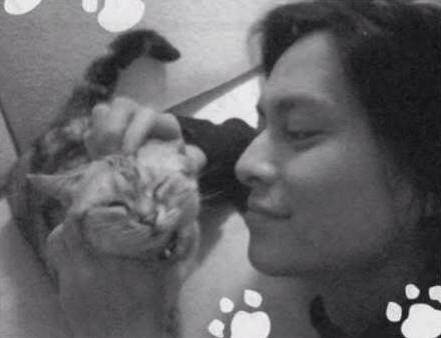 イケメンと猫を貼るトピ