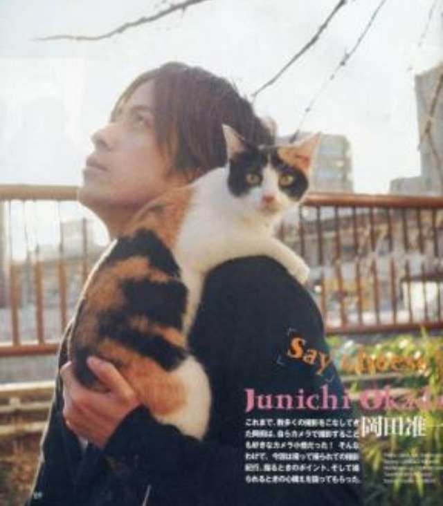 イケメンと猫を貼るトピ