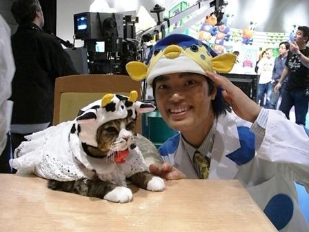 イケメンと猫を貼るトピ