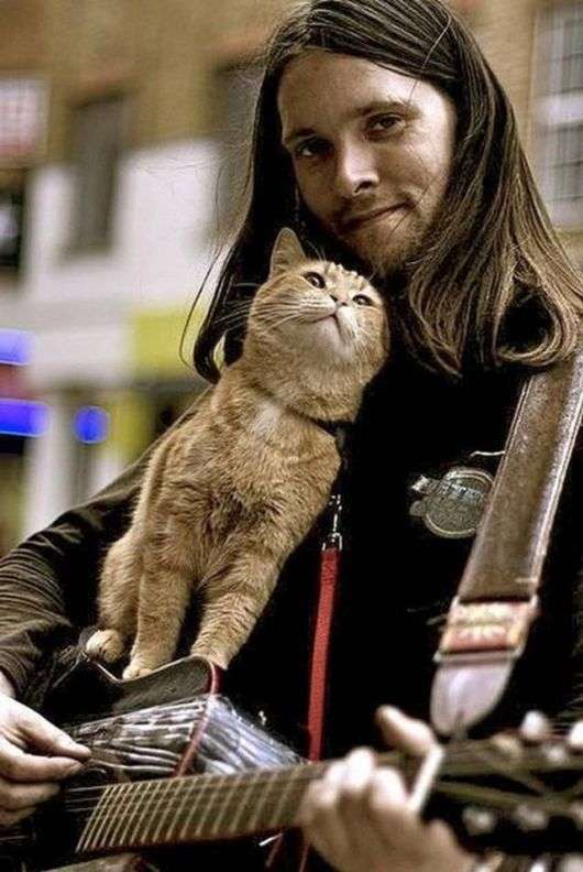 イケメンと猫を貼るトピ