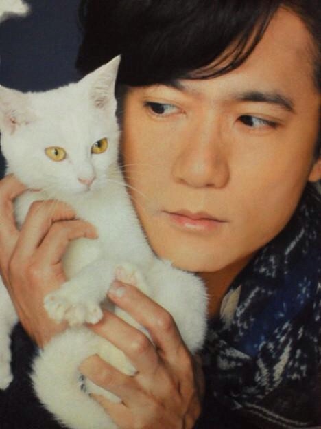 イケメンと猫を貼るトピ
