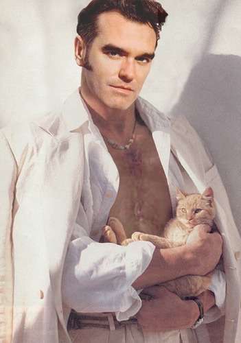 イケメンと猫を貼るトピ