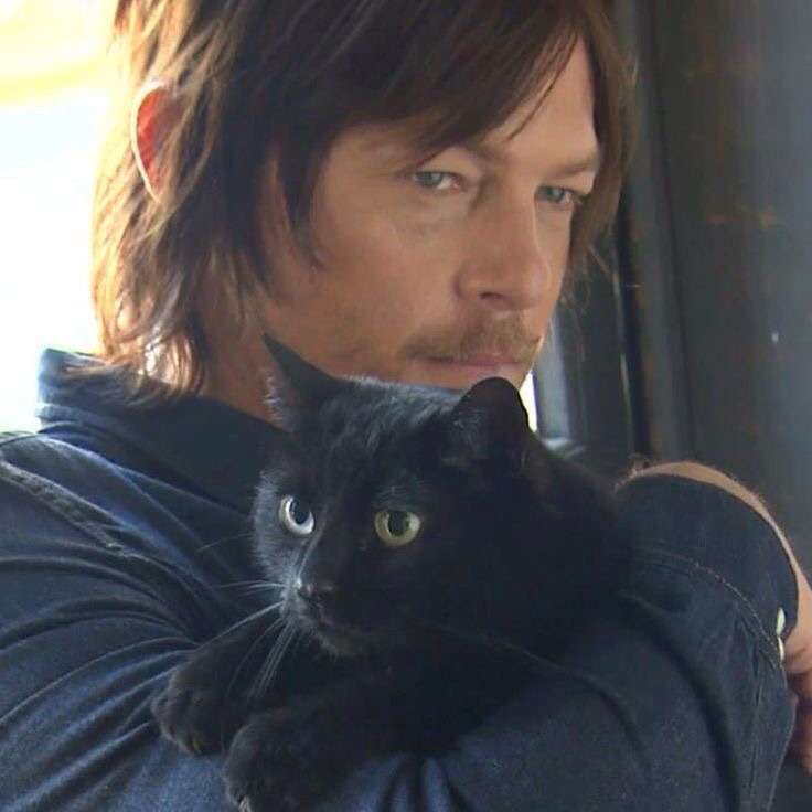 イケメンと猫を貼るトピ
