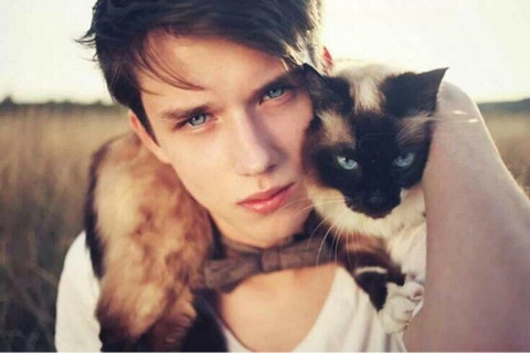 イケメンと猫を貼るトピ