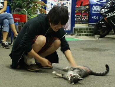 イケメンと猫を貼るトピ