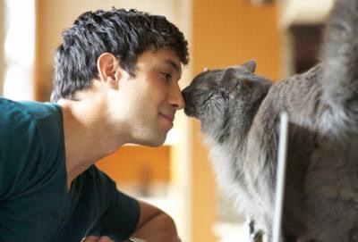 イケメンと猫を貼るトピ
