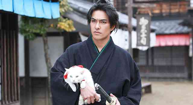イケメンと猫を貼るトピ