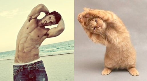 イケメンと猫を貼るトピ
