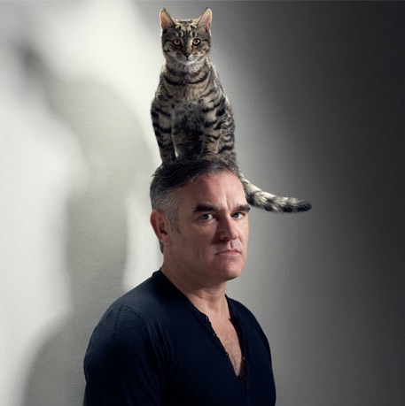 イケメンと猫を貼るトピ