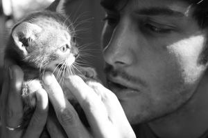 イケメンと猫を貼るトピ