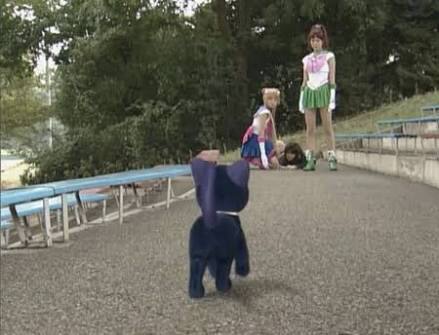 実写化あまり好みではない方