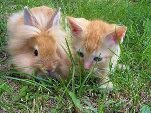 あなたの目の保養は？(*^◯^*)