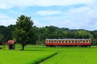 あなたの目の保養は？(*^◯^*)