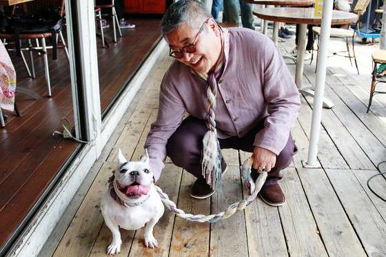 犬顔だと思う芸能人