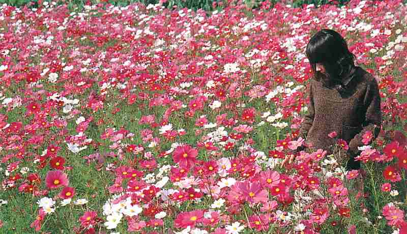 秋を感じるファッションの芸能人を貼るトピ