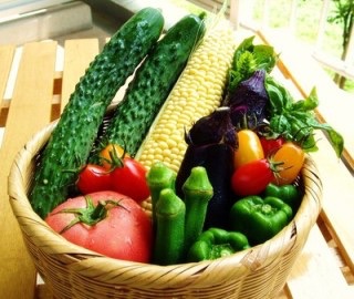 野菜が高い