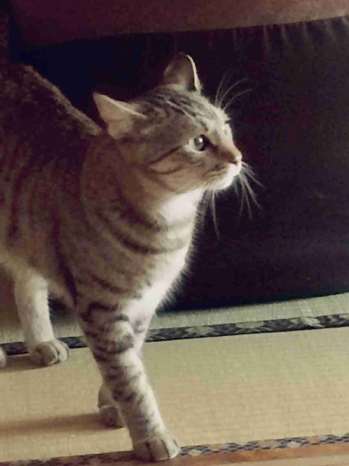 あなたが撮影した一枚