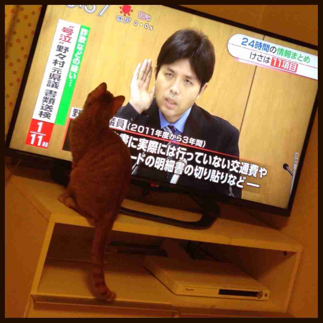 あなたが撮影した一枚