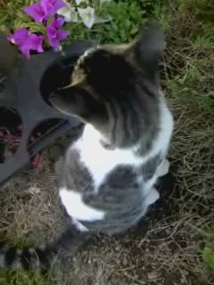 あなたが撮影した一枚