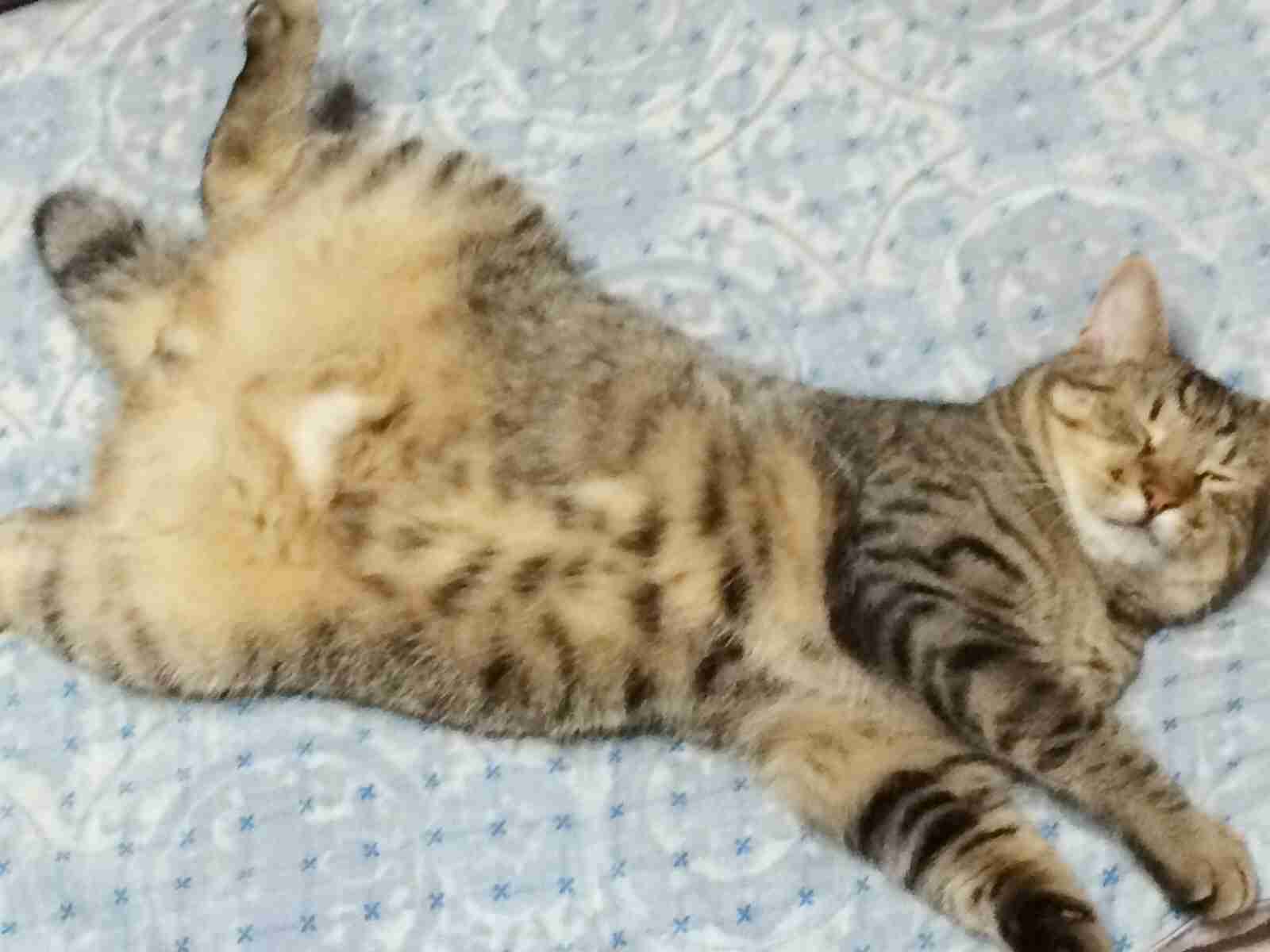 あなたが撮影した一枚