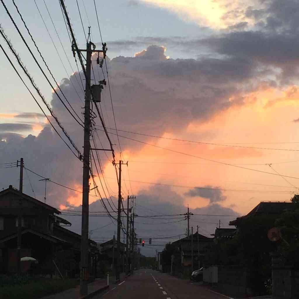 あなたが撮影した一枚