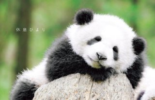 眠たくなりそうなコメント下さい