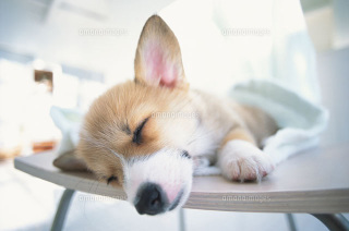 眠たくなりそうなコメント下さい