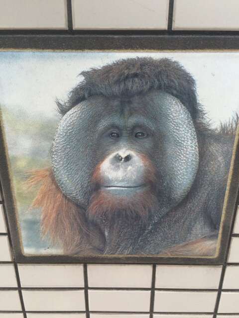 ガルちゃん動物園！