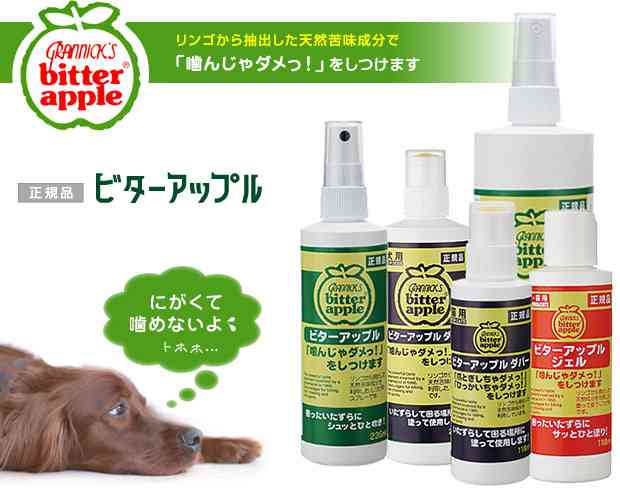有吉弘行 家のルールを守らない親たちに呆れ「もう犬以下」