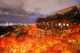 今年の紅葉どこに見に行きたいですか?