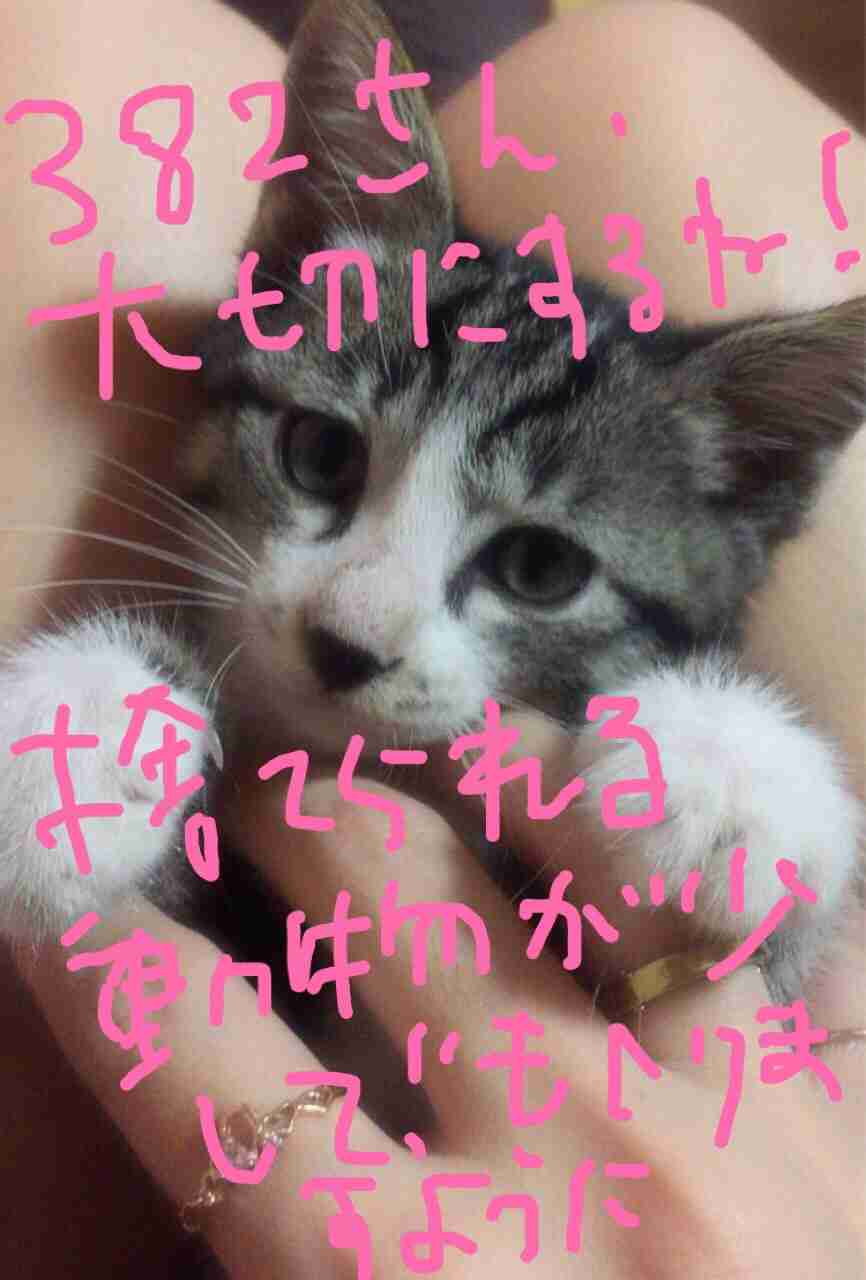 できるだけ文字入力をせずに手書きの文章と絵で話すトピ