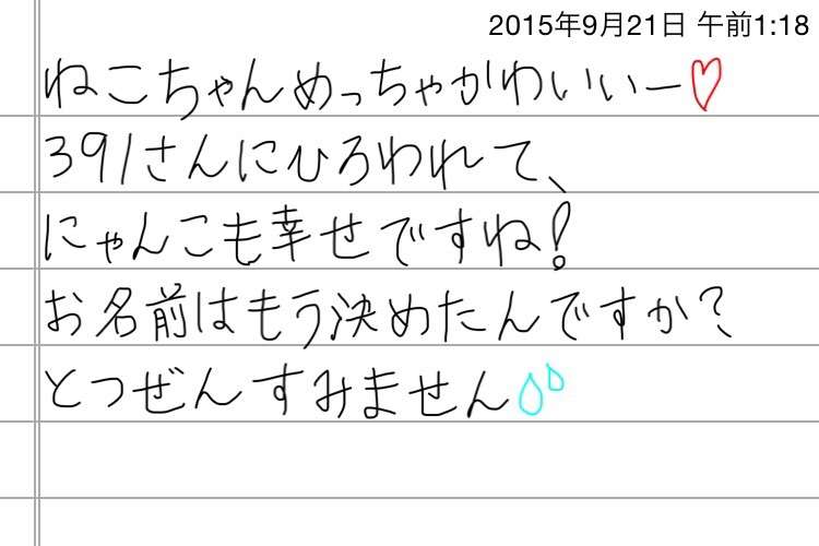 できるだけ文字入力をせずに手書きの文章と絵で話すトピ